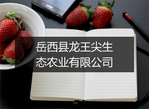 岳西县龙王尖生态农业有限公司