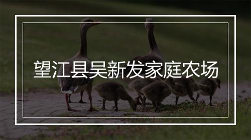 望江县吴新发家庭农场
