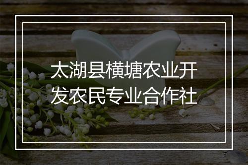 太湖县横塘农业开发农民专业合作社