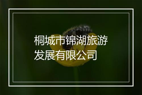 桐城市锦湖旅游发展有限公司