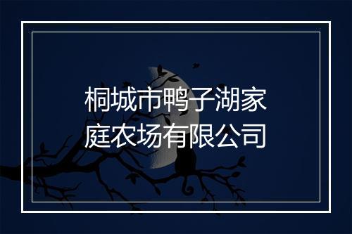 桐城市鸭子湖家庭农场有限公司