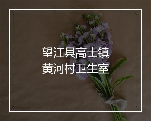 望江县高士镇黄河村卫生室