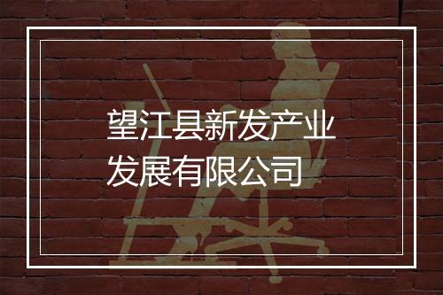 望江县新发产业发展有限公司