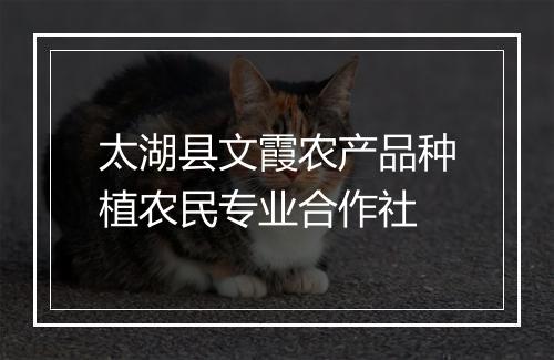 太湖县文霞农产品种植农民专业合作社