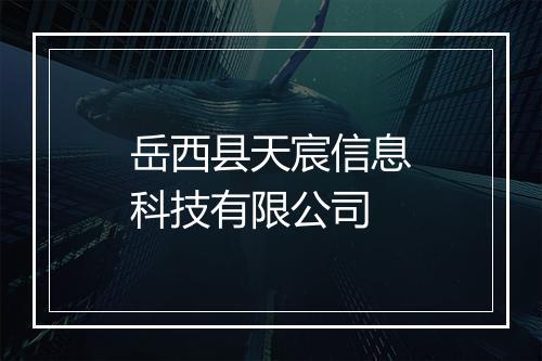 岳西县天宸信息科技有限公司