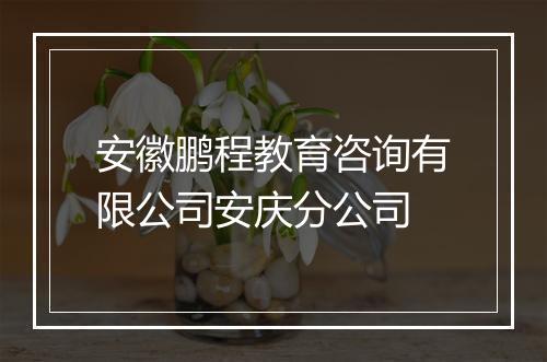 安徽鹏程教育咨询有限公司安庆分公司