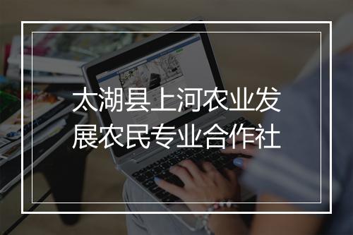 太湖县上河农业发展农民专业合作社