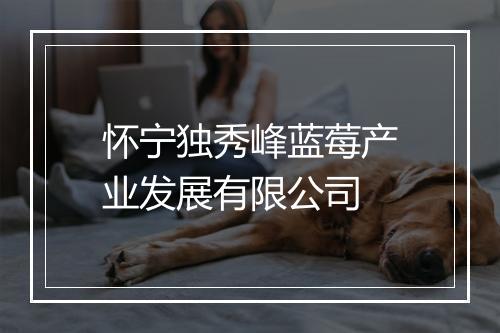 怀宁独秀峰蓝莓产业发展有限公司