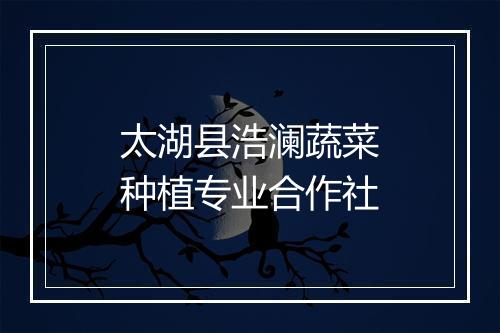 太湖县浩澜蔬菜种植专业合作社