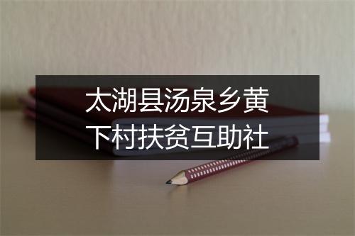 太湖县汤泉乡黄下村扶贫互助社