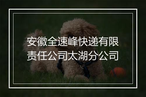 安徽全速峰快递有限责任公司太湖分公司