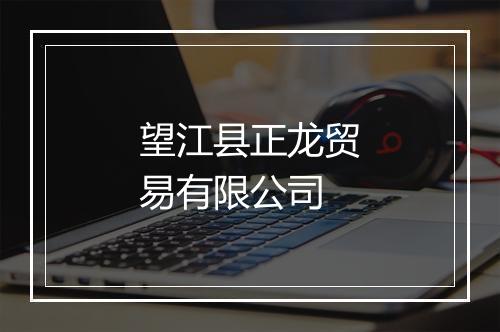 望江县正龙贸易有限公司