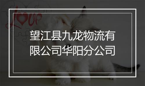 望江县九龙物流有限公司华阳分公司