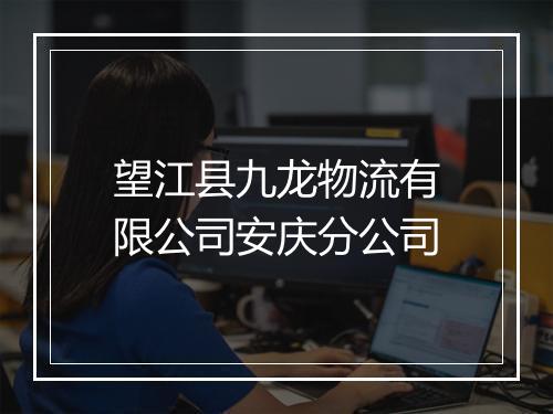 望江县九龙物流有限公司安庆分公司