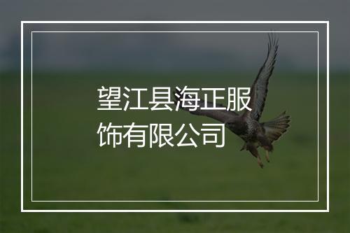 望江县海正服饰有限公司
