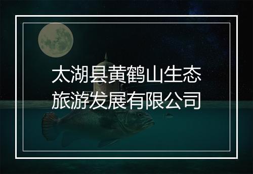 太湖县黄鹤山生态旅游发展有限公司
