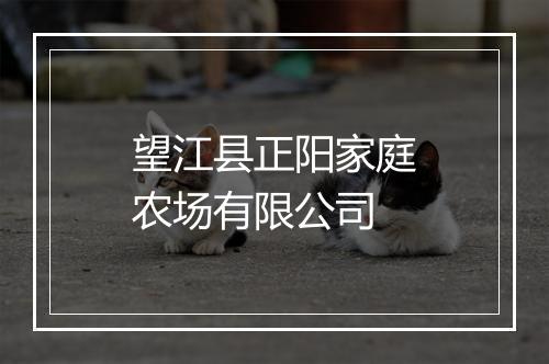 望江县正阳家庭农场有限公司