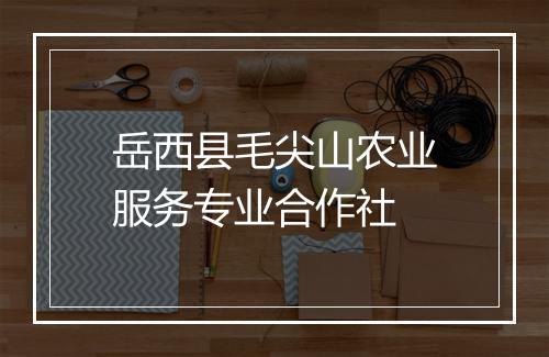 岳西县毛尖山农业服务专业合作社