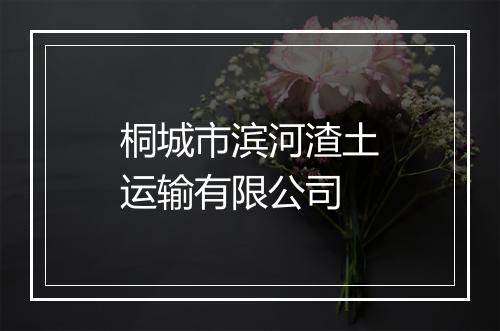 桐城市滨河渣土运输有限公司