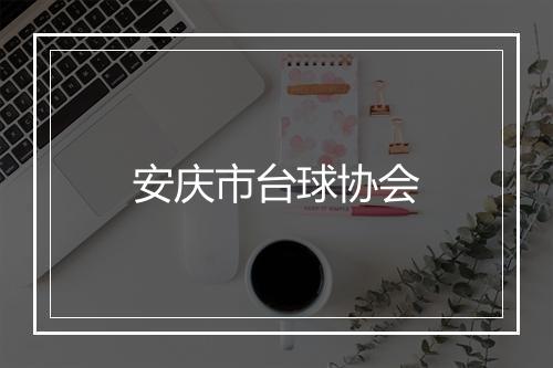 安庆市台球协会