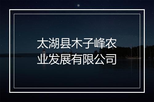 太湖县木子峰农业发展有限公司