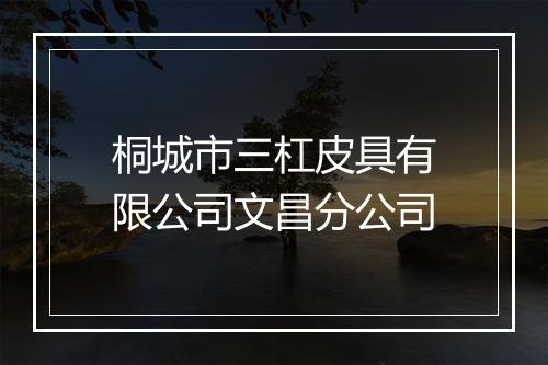桐城市三杠皮具有限公司文昌分公司