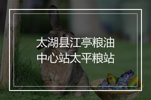 太湖县江亭粮油中心站太平粮站