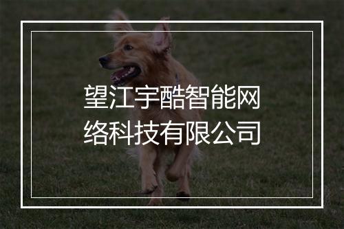 望江宇酷智能网络科技有限公司