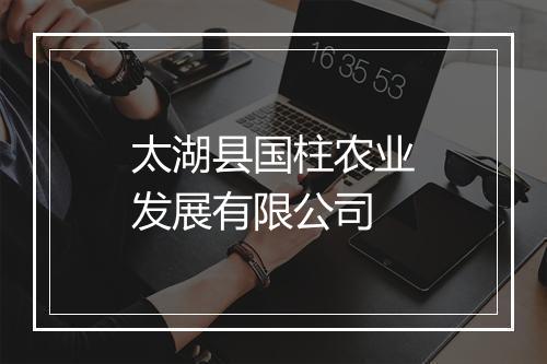太湖县国柱农业发展有限公司