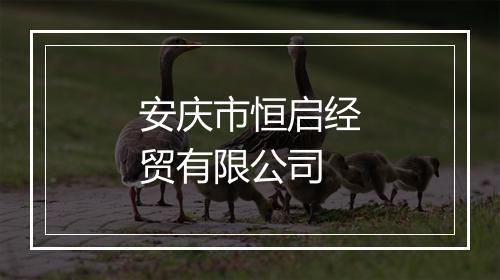 安庆市恒启经贸有限公司