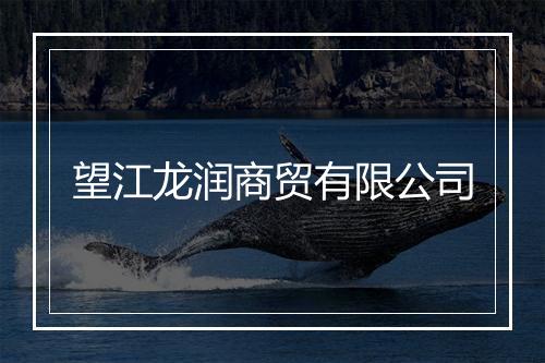 望江龙润商贸有限公司