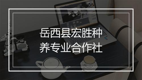 岳西县宏胜种养专业合作社