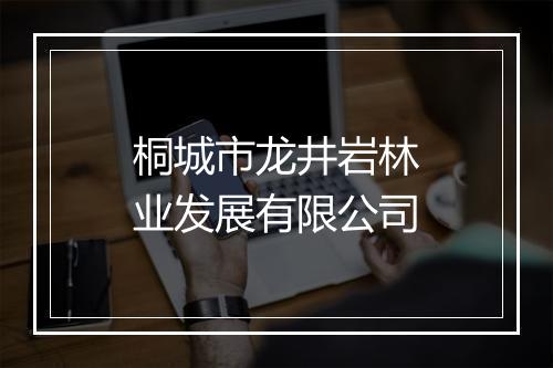 桐城市龙井岩林业发展有限公司