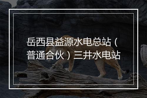 岳西县益源水电总站（普通合伙）三井水电站
