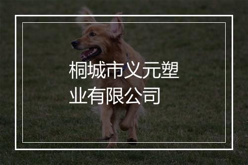 桐城市义元塑业有限公司