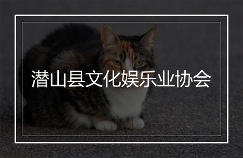 潜山县文化娱乐业协会