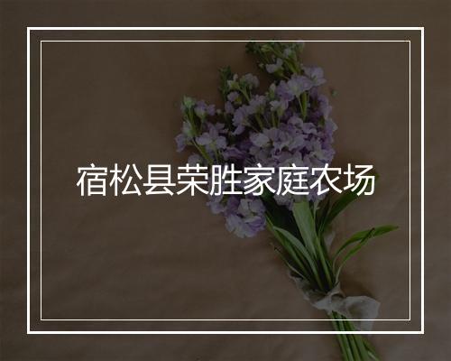 宿松县荣胜家庭农场