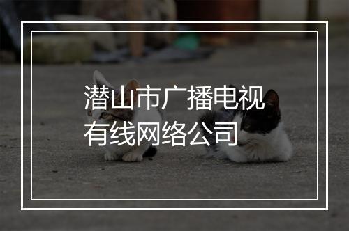 潜山市广播电视有线网络公司