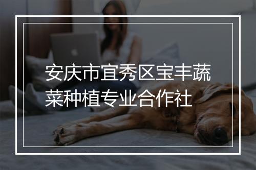安庆市宜秀区宝丰蔬菜种植专业合作社