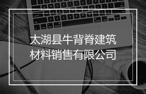 太湖县牛背脊建筑材料销售有限公司