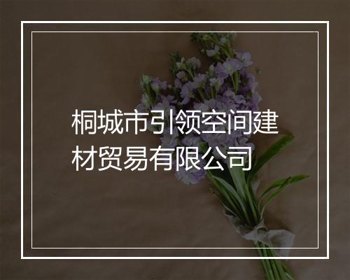 桐城市引领空间建材贸易有限公司