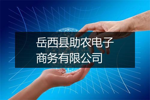 岳西县助农电子商务有限公司