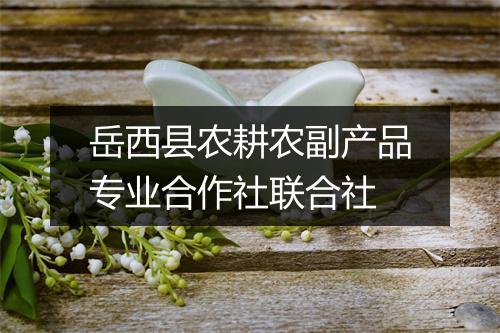 岳西县农耕农副产品专业合作社联合社