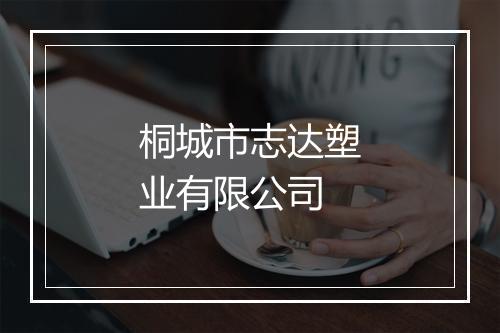 桐城市志达塑业有限公司