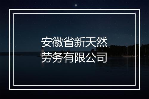 安徽省新天然劳务有限公司
