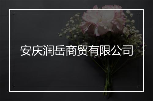 安庆润岳商贸有限公司