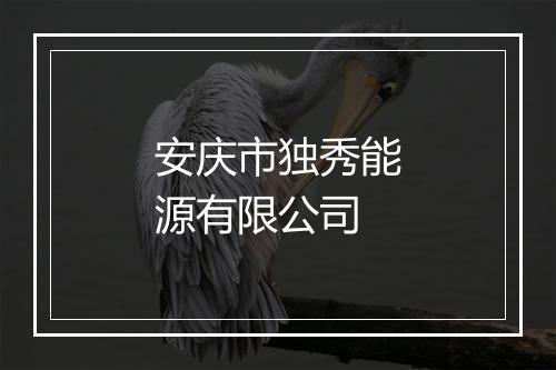 安庆市独秀能源有限公司