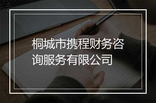 桐城市携程财务咨询服务有限公司