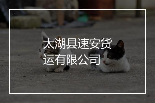 太湖县速安货运有限公司