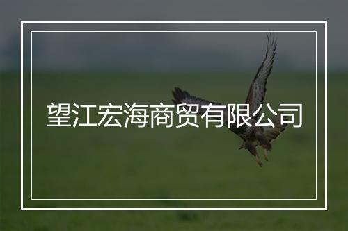 望江宏海商贸有限公司